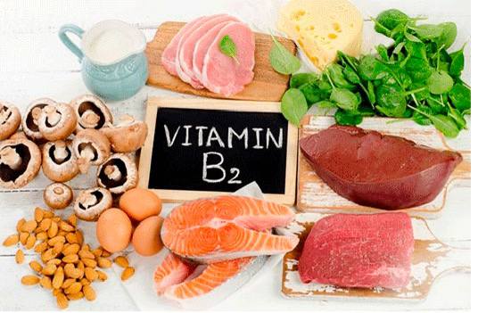 Wszystko, co warto wiedzieć o „silniku organizmu” – witaminie B2
